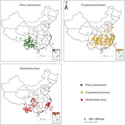 Simulation the potential distribution of Dendrolimus houi and its hosts, Pinus yunnanensis and Cryptomeria fortunei, under climate change in China